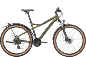 SHARPTAIL STREET 3 27,5