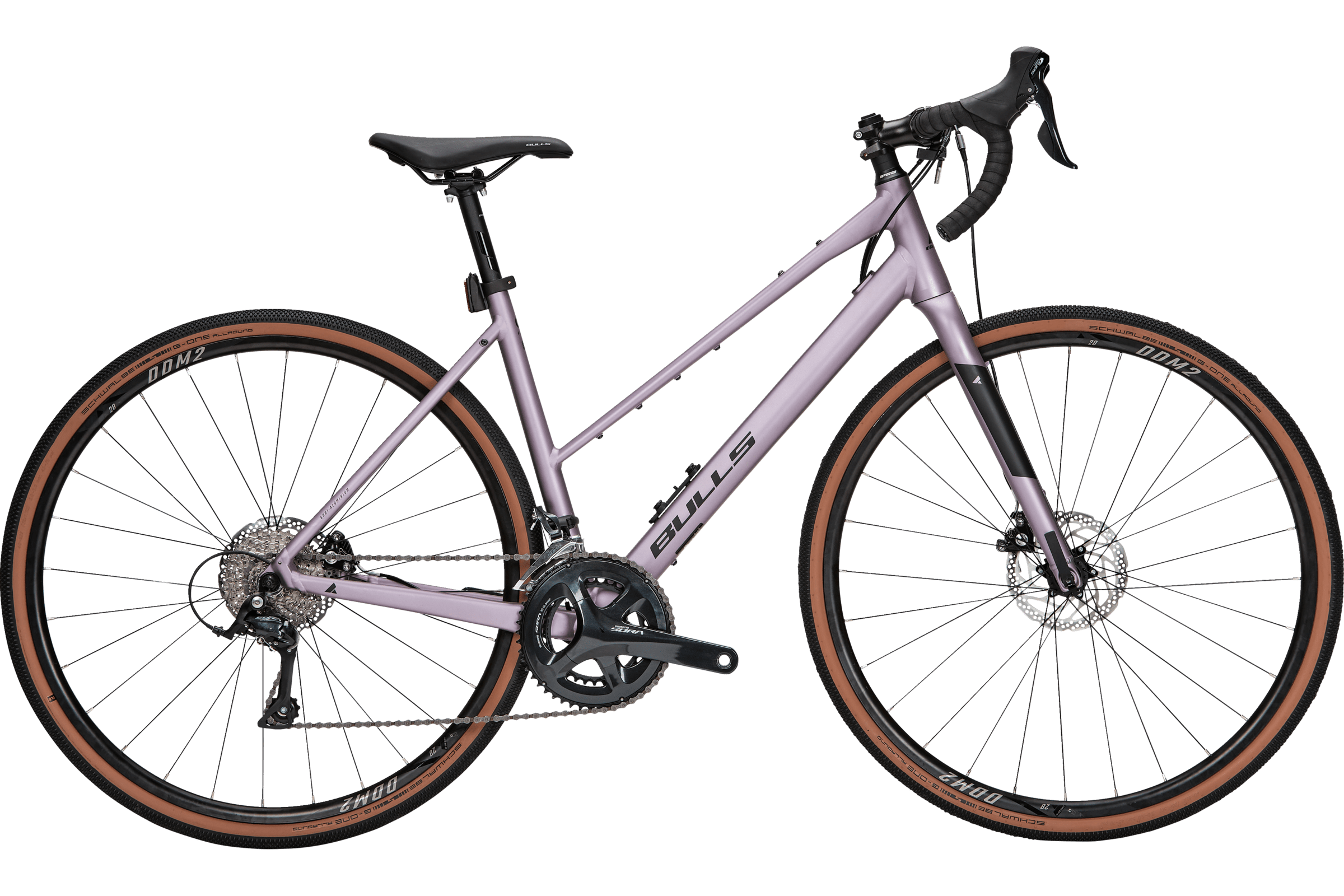 Bulls - Grinder 2 TRAPEZ lavender fog matt